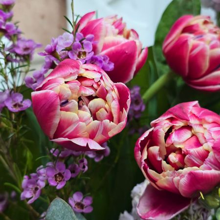 Букет комплимент с тюльпанами весенний