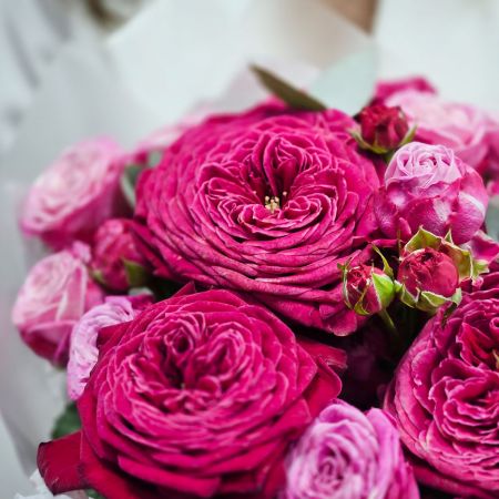 Малиновые пионовидные розы в компактном букете