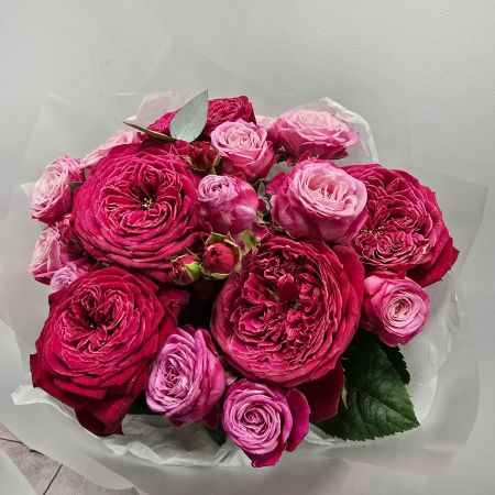 Малиновые пионовидные розы в компактном букете