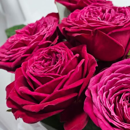 Монобукет с вишневой пионовидной розой