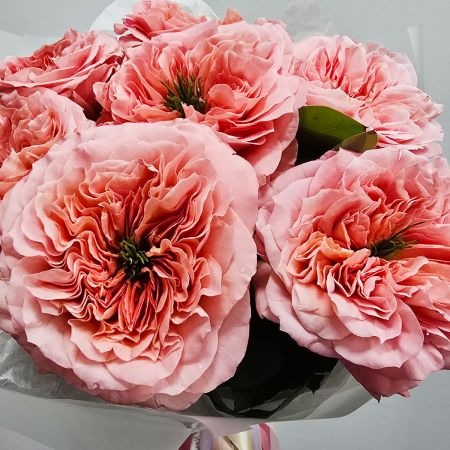 Пионовидные розы мандарин 7 шт