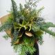 В ожидании снега букет из нобилиса и туи