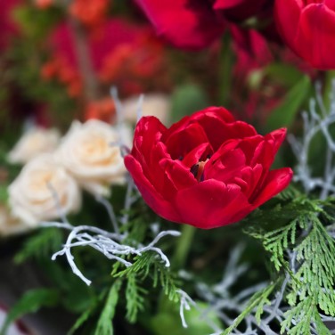 Яркий зимний подарок с тюльпанами