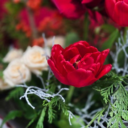 Яркий зимний подарок с тюльпанами