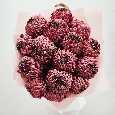 Большой букет из хризантем бигуди