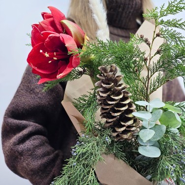 Стильный зимний букет с амариллисом