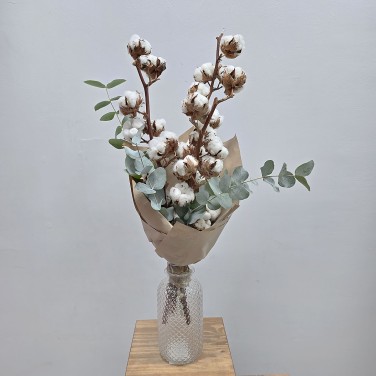 Ветки хлопка с эвкалиптом