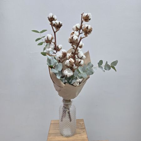 Ветки хлопка с эвкалиптом