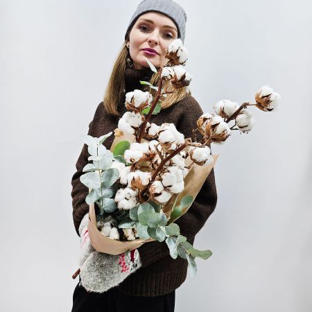 Ветки хлопка с эвкалиптом