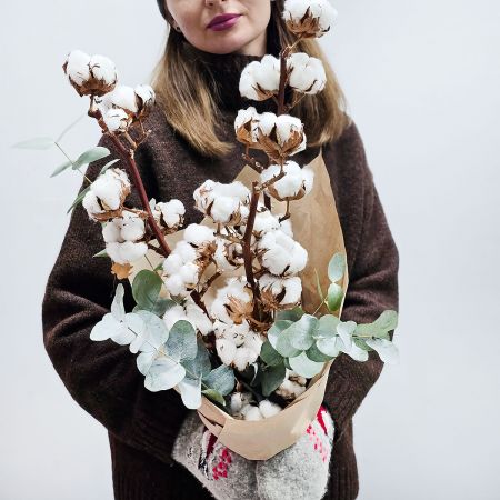 Ветки хлопка с эвкалиптом