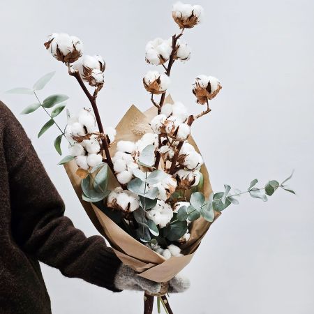 Ветки хлопка с эвкалиптом