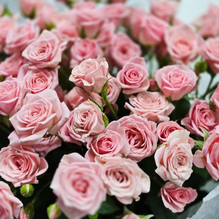 Розовая кустовая роза в букете 15 шт