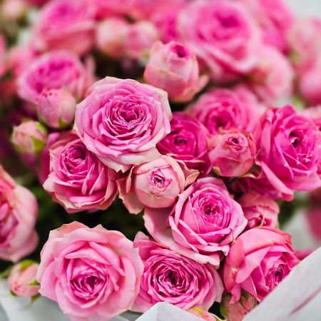 Букет кустовых пионовидных роз Малиновость 11