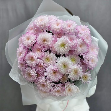 Букет розовых хризантем в упаковке