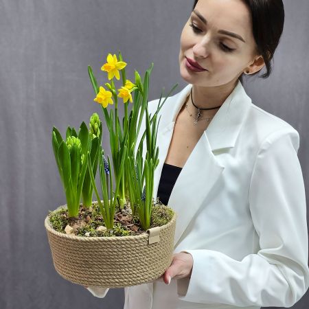 Композиция из весенних луковичных цветов в кашпо