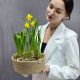 Композиция из весенних луковичных цветов в кашпо
