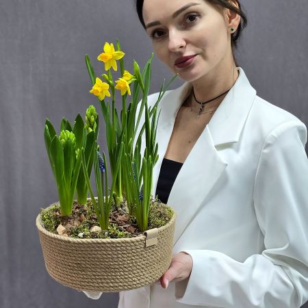 Композиция из весенних луковичных цветов в кашпо