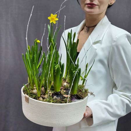 Композиция из растущих весенних цветов