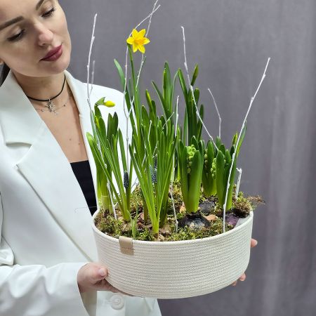 Композиция из растущих весенних цветов