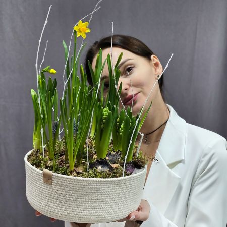 Композиция из растущих весенних цветов