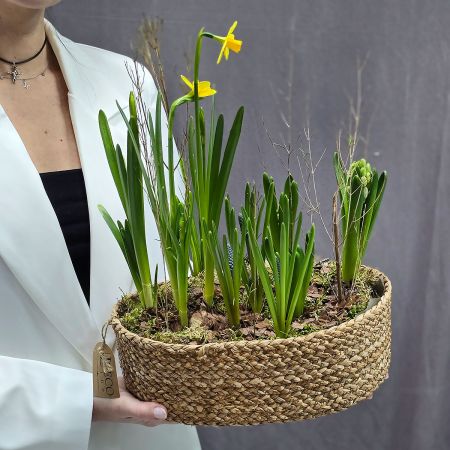 Композиция весенних луковичных в джутовом кашпо