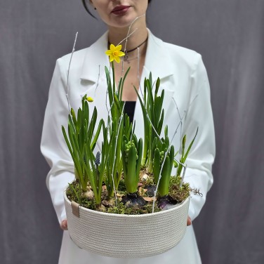 Композиция из растущих весенних цветов