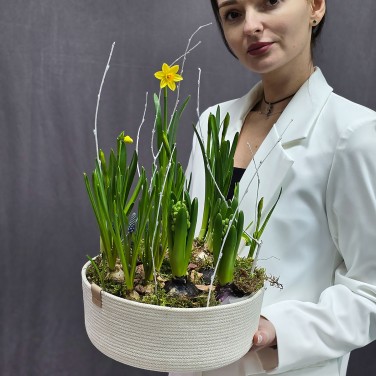 Композиция из растущих весенних цветов