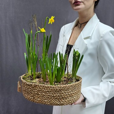 Композиция весенних луковичных в джутовом кашпо