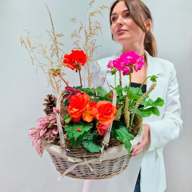 Яркая композиция в корзине Патио