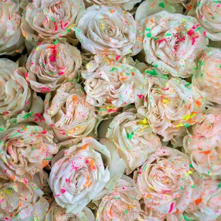 Арт-Букет из 69 Эквадорских роз Мондиаль в шляпной коробке