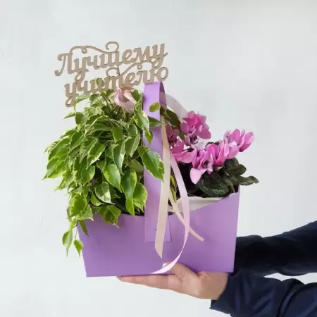 Учителю удобная сумочка с цикламеном и фикусом