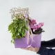 Учителю удобная сумочка с цикламеном и фикусом