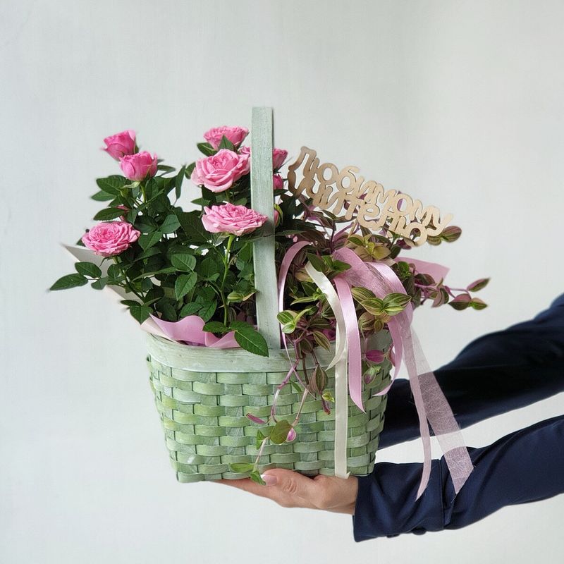 Комнатные цветы в сумке